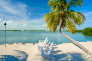 Florida Keys Beach with Palm Tree, and beach chairs